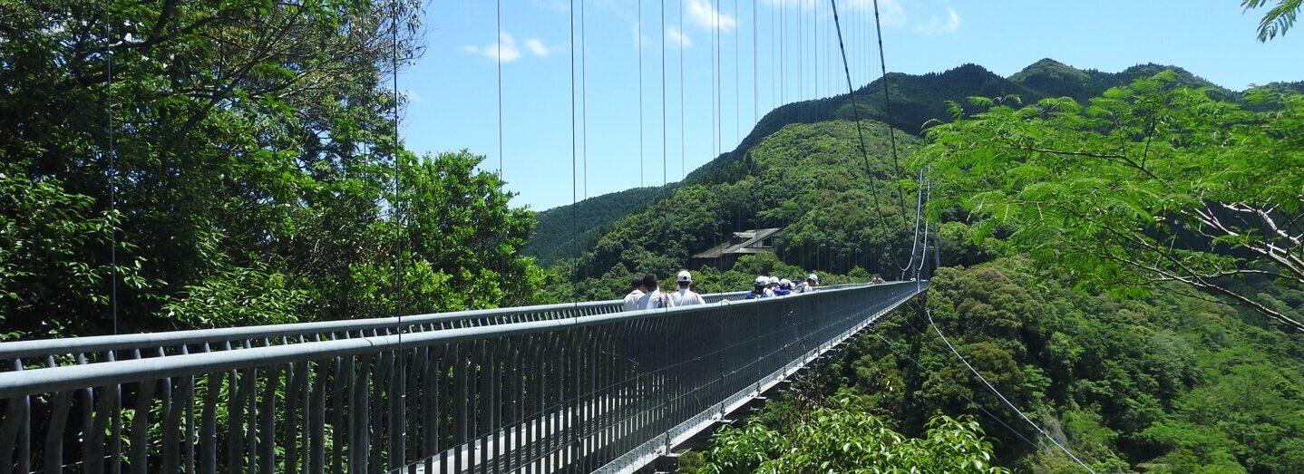 照葉大吊橋